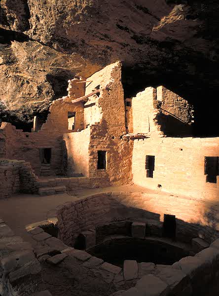 Spruce Tree House