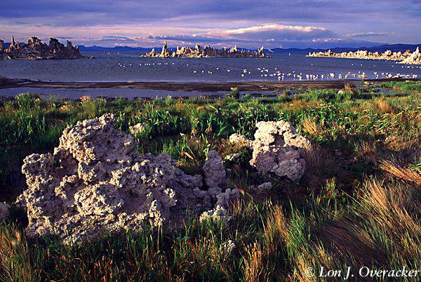 Mono Lake (87k)