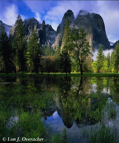 Indian Swamp, Yosemite (45k)