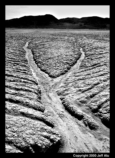 Fork in the Mud