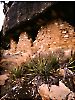 Walnut Canyon