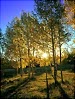 Scenic Byway 12