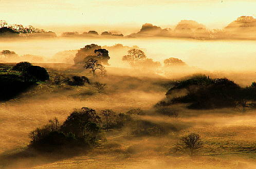 Sunrise, Napa Valley (c) 1994 Gerhard Bock