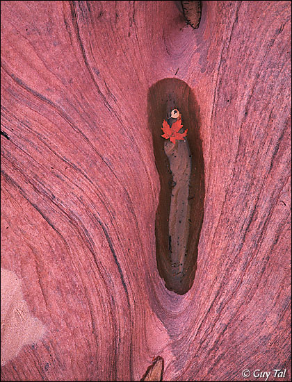 Intimate Kayenta