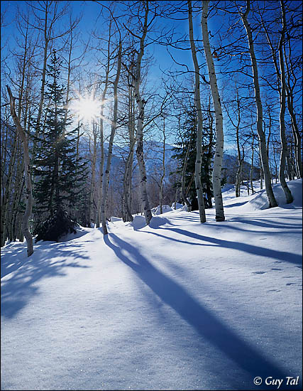 Wasatch Winter Blues