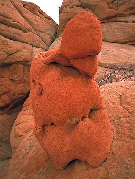 Paria-Vermilion Cliffs Wilderness