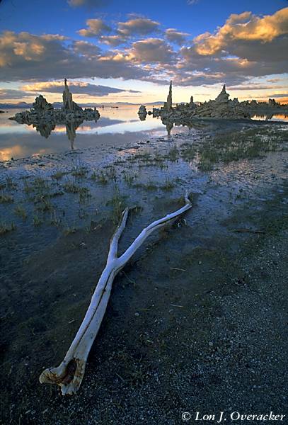 Shore of Mono Lake at Dusk (49k)