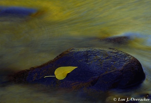 A Settling Place (45k)