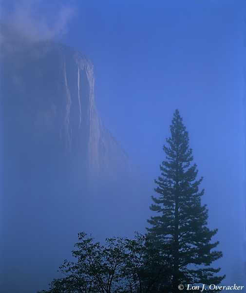 El Capitan in the Mist(17k)