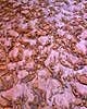Buckskin Gulch