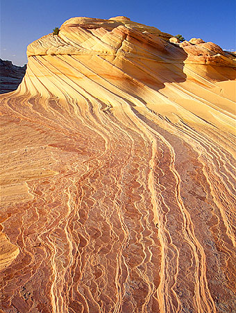 Coyote Butte