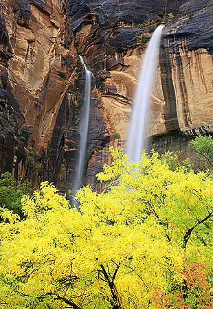 Twin Falls, ZNP