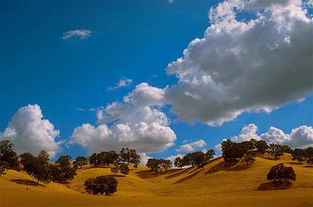 Golden Hills, California